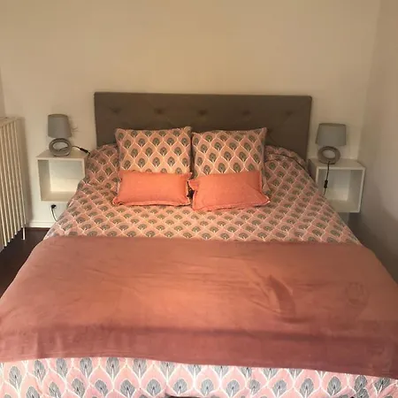 Apartment Cosy, En Rez De Chaussee, En Plein Centre De Les Bains Cambo-les-Bains